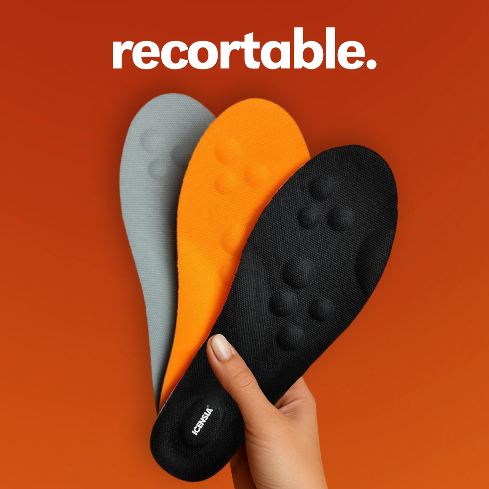 Plantillas Icensia™️